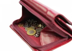 CRIS-POL (PL) Wygodny Portfel Damski Skórzany CRIS-POL(PL) Skóra Licowa 14 cm Kieszeń Na Zewnątrz Na Suwak - Portfele - miniaturka - grafika 3