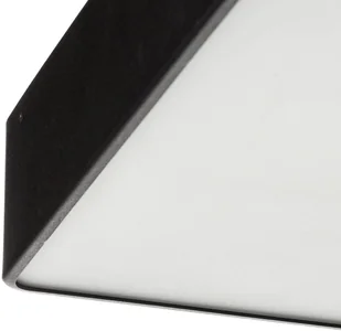 Euluna Lampa sufitowa Oro ze stali i szkła, czarna, 35cm - Lampy sufitowe - miniaturka - grafika 4