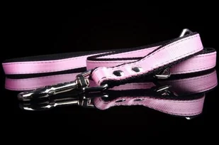 Haas F1 Team ZOO LESZCZ (PL) Soldina Dla Psa Taśma Podwójna Regulowana 25 mm ZL027/1 ZOOLESZCZ (PL) - Smycze dla psów - miniaturka - grafika 6