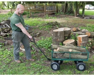 Draper Tools Wózek ogrodniczy, stalowy 86,5x46,5x21 cm, zielono-czarny Draper Tools - Taczki - miniaturka - grafika 4