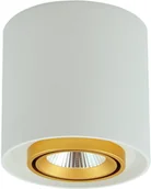 Lampy sufitowe - Polux Oprawa natynkowa LED XENO okrągła 3000K 10W 800lm biały-złoty 312037 SANICO 312037 - miniaturka - grafika 1