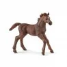 Schleich Źrebak pełenej krwi angielskiej GXP-622474 - Figurki dla dzieci - miniaturka - grafika 2