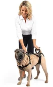 Szelki dla psów - Petsafe PetSafe CareLift Szelki do podnoszenia Rozmiar M obwód klatki piersiowej 61 84 cm - miniaturka - grafika 1