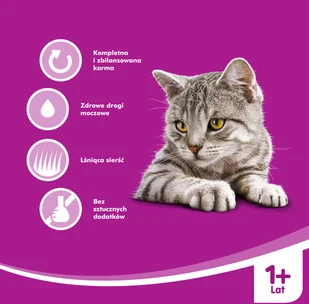 Whiskas Adult puszka 12 x 400g mokra karma dla kotów z tuńczykiem w galaretce 41901-uniw - Mokra karma dla kotów - miniaturka - grafika 5