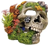 Dekoracje do akwarium - Nobby 28135 akwarium dekoracja Aqua ornamenty, trupia czaszka - miniaturka - grafika 1