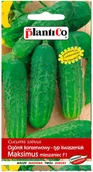 Nasiona i cebule - Plantico Ogórek Maksimus F1 - miniaturka - grafika 1