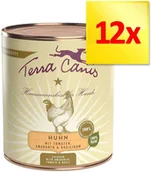 Mokra karma dla psów - Terra Canis 12 x 800 g - Indyk z brokułami, gruszką i ziemniakami - miniaturka - grafika 1