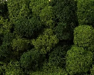 Akcesoria i części modelarskie - Noch NOCH 08610 - zabawki, dekoracje, jasne i ciemnozielone, sortowane 8610 - miniaturka - grafika 1