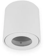 Oprawy, klosze i abażury - LED line OPRAWA TUBA NATYNKOWA WODOODPORNA OKRĄGŁA BIAŁY MAT TUBE IP44 242540 - miniaturka - grafika 1