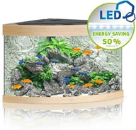 Akwaria i zestawy akwarystyczne - Juwel Trigon 190 LED jasne drewno - akwarium Trigon 190 LED 16850 - miniaturka - grafika 1