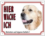 Legowiska dla psów - Nobby 93207 znak ostrzegawczy Golden Retriever - miniaturka - grafika 1