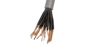 LappKabel Przewód sterowniczy OLFLEX CLASSIC 110 21G0,75 300/500V (1119121) - Przewody elektryczne - miniaturka - grafika 2