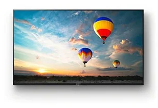 Sony Monitor 49 BRAVIA 4K B2B Display 3Yr PrimeSupp FW-49XE8001 - Monitory reklamowe i wyświetlacze - miniaturka - grafika 2