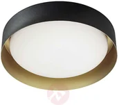 Lampy sufitowe - Linea Light Lampa sufitowa LED Crew 2, 33 cm, czarna/złota - miniaturka - grafika 1