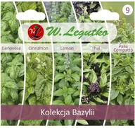 Nasiona i cebule - Legutko Bazylia nasiona tradycyjne - miniaturka - grafika 1