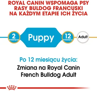 Royal Canin French Bulldog Junior 10kg Opakowanie uszkodzone 426) ! 257530 - Mokra karma dla psów - miniaturka - grafika 6