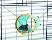 Akcesoria dla gryzoni - Nobby 81028 rurka  Giant Tube, 11 x 31 cm 59450000 - miniaturka - grafika 1