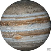 Fototapety - Komar Fototapeta Jupiter D1-017 D1-017 - miniaturka - grafika 1