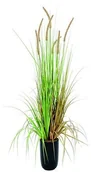 Sztuczne kwiaty - Europalms Euro Palms 82600121 lamp Tynkarze trawy, 120 cm 82600121 - miniaturka - grafika 1