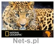 St. Majewski Podkład szkolny na biurko obustr National Geographic - Akcesoria na biurko - miniaturka - grafika 2