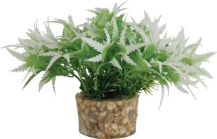 Zolux Roślina mała z zestawu nr 1 - Dekoracje do akwarium - miniaturka - grafika 2