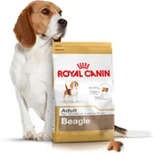 Sucha karma dla psów - Royal Canin Adult Beagle 3 kg - miniaturka - grafika 1