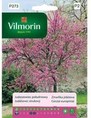 Nasiona i cebule - Vilmorin Nasiona judaszowiec południowy Cercis - miniaturka - grafika 1