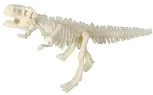 Geo Kids/Navir/DAM Bones&More, Duży szkielet dinozaura - wykopalisko odcisk łapy mokopico-1752-0 - Zabawki kreatywne - miniaturka - grafika 8