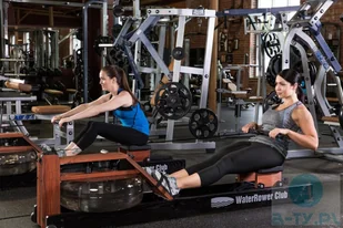 WaterRower Wioślarz wodny Club S4 Jesion a-ty WW-WR-150-S4 - Wioślarze - miniaturka - grafika 21