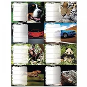 Szkolne artykuły papiernicze - Naklejki na zeszyt boys/girls 1szt /0424-004-71/ PP650 - miniaturka - grafika 1