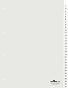 Przekładki do segregatorów - DURABLE Przekładki A4 numeryczne 1-31 - transparentne / 1 kpl. 681919 - miniaturka - grafika 1