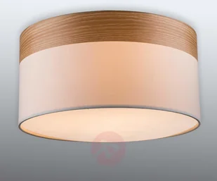 Globo CHIPSY 15221D 15221D - Oprawy, klosze i abażury - miniaturka - grafika 4