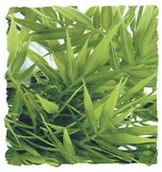 Dekoracje do akwarium - Zoo Med Zoo med BU-36 cannabis roślina z tworzywa sztucznego, Large dekoracja i możliwość tajemnicza w terrarium BU36 - miniaturka - grafika 1