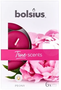 Bolsius Podgrzewacze zapachowe 4h True Scents Piwonia 6szt oficjalny sklep internetowy YORK 4099830-001993 - Zapachy do domu - miniaturka - grafika 2