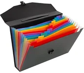 Teczki i skoroszyty - Viquel Folder teczka na, PP, 12-rzędowa, A4, 12 przegródek, Rainbow Class 117287-03 - miniaturka - grafika 1