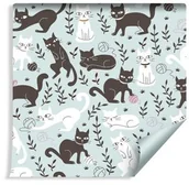 Tapety - Muralo Tapeta Dla Dzieci Urocze Kotki 1104593117 - miniaturka - grafika 1