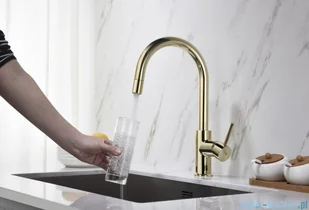 Blue Water Plaza bateria kuchenna z wyciąganą wylewką złota 5901730615804 - Baterie umywalkowe - miniaturka - grafika 8