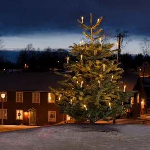 Konstsmide 1015 020 LED drzewo łańcuszek z białych topb irnen/na zewnątrz (IP44)/VDE/zewnętrzny transformator 24 V/One String/45 ciepło białych diod/przewód zielony (1015-020) - Pozostałe oświetlenie - miniaturka - grafika 5