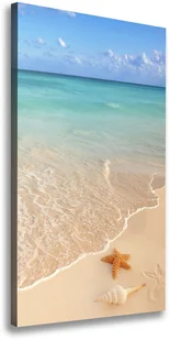Foto obraz na płótnie Rozgwiazda na plaży - Obrazy i zdjęcia - miniaturka - grafika 7
