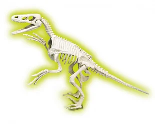 Skamieniałości Welociraptor - Mały naukowiec - miniaturka - grafika 6