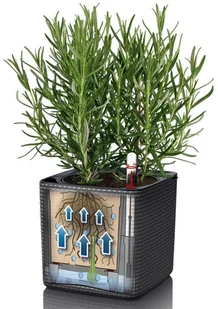 Lechuza Donica stołowa CUBE Color 16 ALL-IN-ONE, antracytowa - Donice - miniaturka - grafika 4