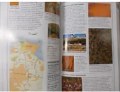 Książki podróżnicze - Australia Przewodnik Używana - miniaturka - grafika 1