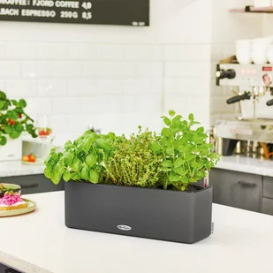 Lechuza Doniczka BALCONISSIMA Color 40 piaskowy brąz BALCONISSIMA C.40 PI - Donice - miniaturka - grafika 7