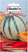 Nasiona i cebule - Plantico Melon Charentais - miniaturka - grafika 1