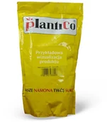 Nasiona i cebule - MARCHEW BLANKA 100G PL514/32/83/M202, ZK92 - miniaturka - grafika 1