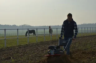 Krysiak FAWORYT MGR196LP - Glebogryzarki - miniaturka - grafika 12