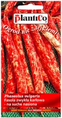 Nasiona i cebule - Plantico Fasola zwykła karłowa Borlotto Nano - miniaturka - grafika 1
