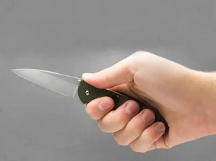 Kershaw Nóż składany Leek 1660OL 522-028 - Noże - miniaturka - grafika 2