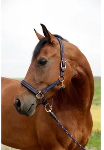 Can-agri Can-Agri Kantar Goleygo z Adapterem niebiesko-karmelowy roz.3 3221386 - Kantary dla koni - miniaturka - grafika 2