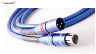 Monkey Cable CONCEPT 2xXLR 2xXLR 0,6m - Kable Monkey Cable CONCEPT 2xXLR 2xXLR 0,6m - Kable - miniaturka - grafika 1